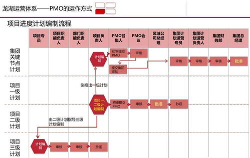 龍湖集團高效PMO項目管理體系研究與實踐