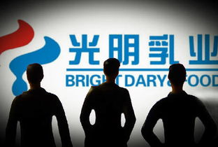 宋清輝 光明乳業企業管理與治理結構漏洞凸顯，亟待深化改革